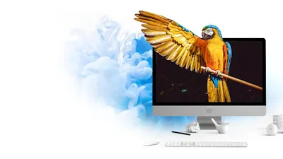 WEB KONCEPT - Strony i sklepy internetowe